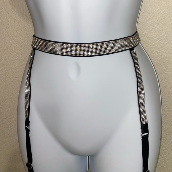 VS Shine Strap Garter Belt- AVAILABLE UNTIL 5/10 - Picture 3 of 4